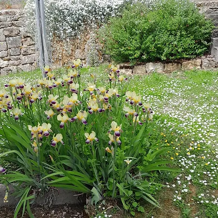 Confort Au Bord De La Meuse Avec Jardin Et Activites Familiales A Proximite - Fr-1-585-82 Vakantiehuis Vilosnes-Haraumont